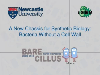 Bacteria Without a Cell Wall  L-forms  Pros &amp; Cons of Cell Wall  Cell membrane  Cell wall  DNA
