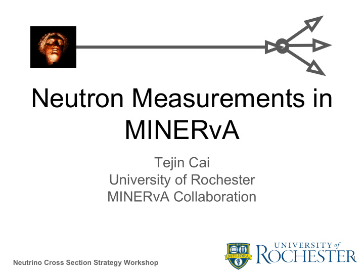 neutron measurements in minerva