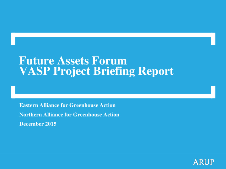 vasp project briefing report