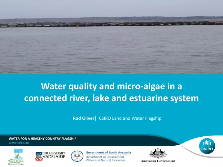 connected river lake and estuarine system