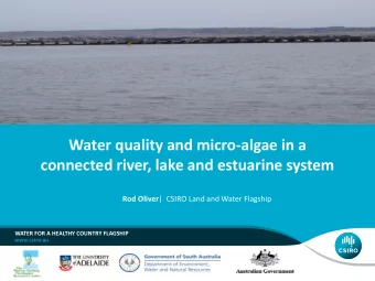 connected river, lake and estuarine system Rod Oliver |  CSIRO Land and Water Flagship  WATER FOR A