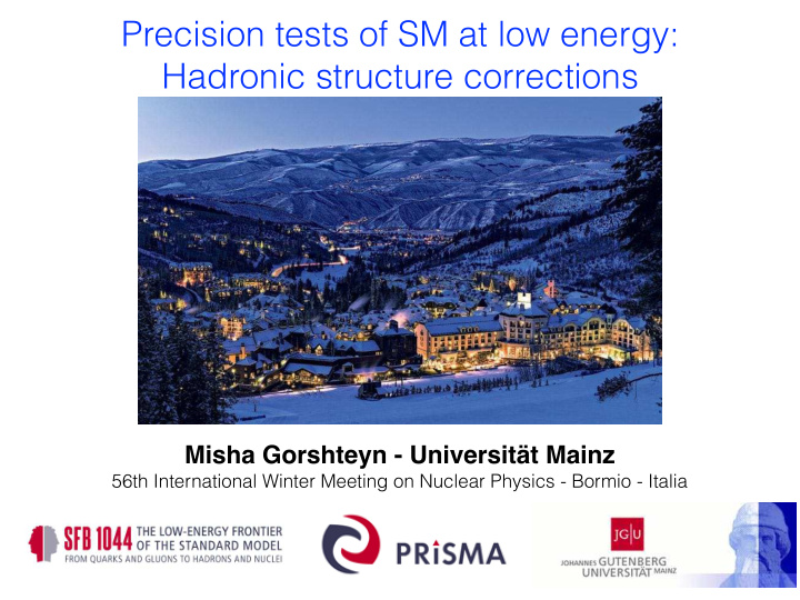 precision tests of sm at low energy hadronic structure