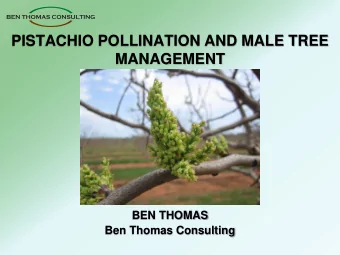 PISTACHIO POLLINATION AND MALE TREE  MANAGEMENT  BEN THOMAS  Ben Thomas Consulting  PISTACHIO