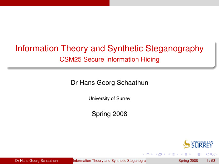 information theory and synthetic steganography