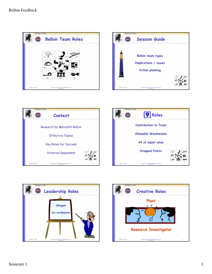 belbin team roles session guide