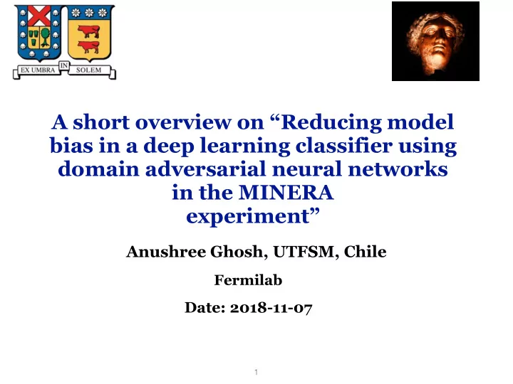 a short overview on reducing model bias in a deep
