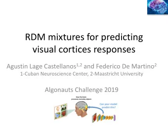 visual cortices responses Agustin Lage Castellanos 1,2 and Federico De Martino 2  1-Cuban