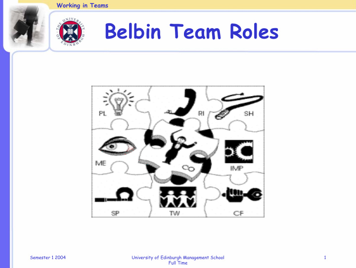 belbin team roles