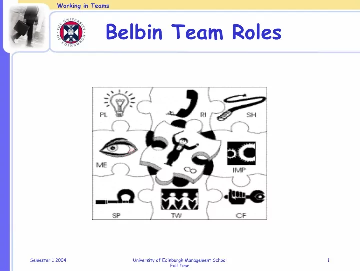 belbin team roles