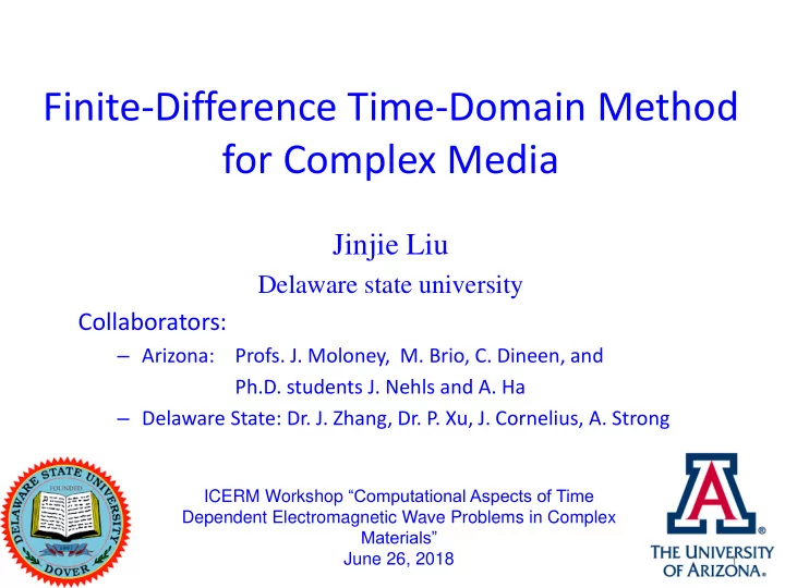 finite difference time domain method