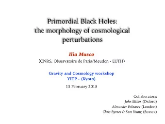 Primordial Black Holes:  the morphology of cosmological  perturbations  Ilia Musco ( CNRS,