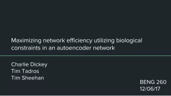 INPUTS    We made MNIST images