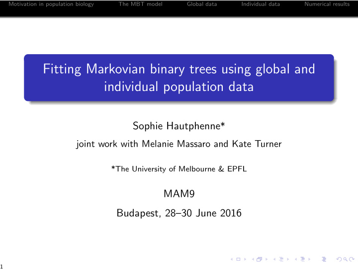 fitting markovian binary trees using global and