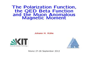 The Polarization Function,  the QED Beta Function  and the Muon Anomalous  Magnetic Moment  Johann