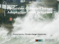 adaptation work program
