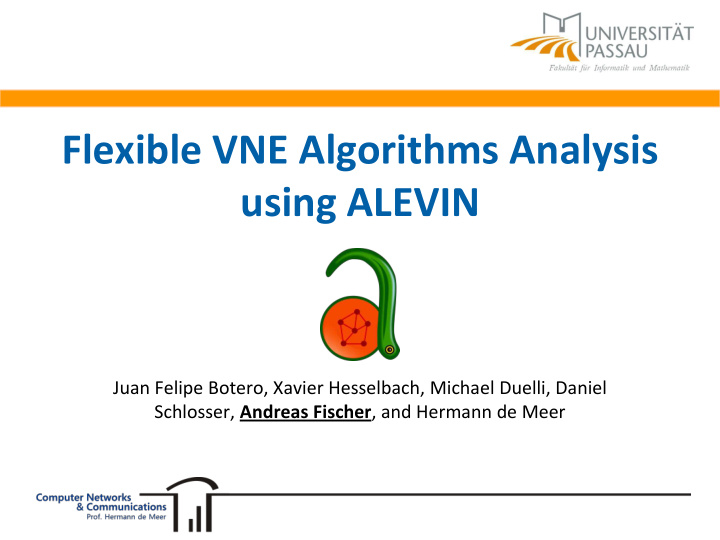 flexible vne algorithms analysis using alevin