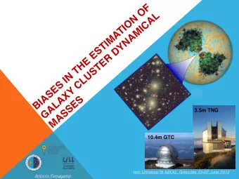 BIASES IN THE ESTIMATION OF  GALAXY CLUSTER DYNAMICAL  MASSES  3.5m TNG  10.4m GTC mm Universe @