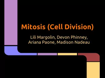 Mitosis (Cell Division)  Lili Margolin, Devon Phinney,  Ariana Paone, Madison Nadeau  Interphase