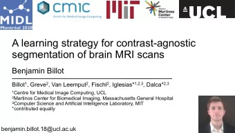 A learning strategy for contrast-agnostic  segmentation of brain MRI scans  Benjamin Billot Billot