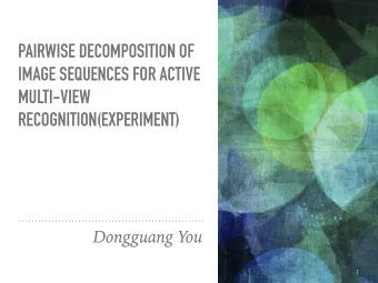 PAIRWISE DECOMPOSITION OF  IMAGE SEQUENCES FOR ACTIVE  MULTI-VIEW  RECOGNITION(EXPERIMENT)