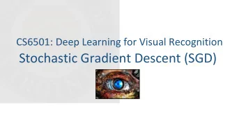 Stochastic Gradient Descent (SGD)  Todays Class  Stochastic Gradient Descent (SGD)  SGD Recap