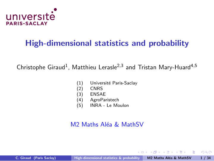 high dimensional statistics and probability