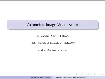 Volumetric Image Visualization  Alexandre Xavier Falc  ao  LIDS - Institute of Computing -