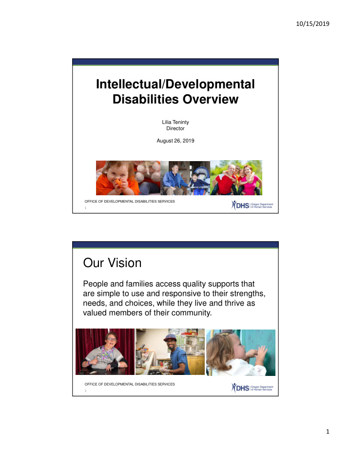 intellectual developmental disabilities overview