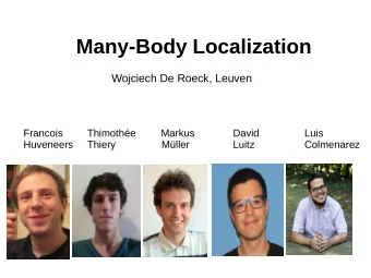 Many-Body Localization  Wojciech De Roeck, Leuven  Francois  Thimothe  Markus  David  Luis